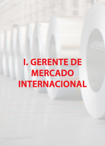 I. Gerente De Mercado Internacional